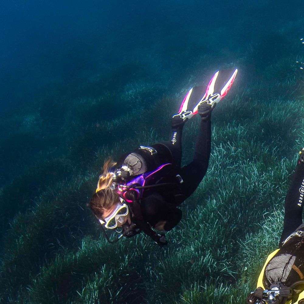 PHAZER - Dive Fins - Image 12