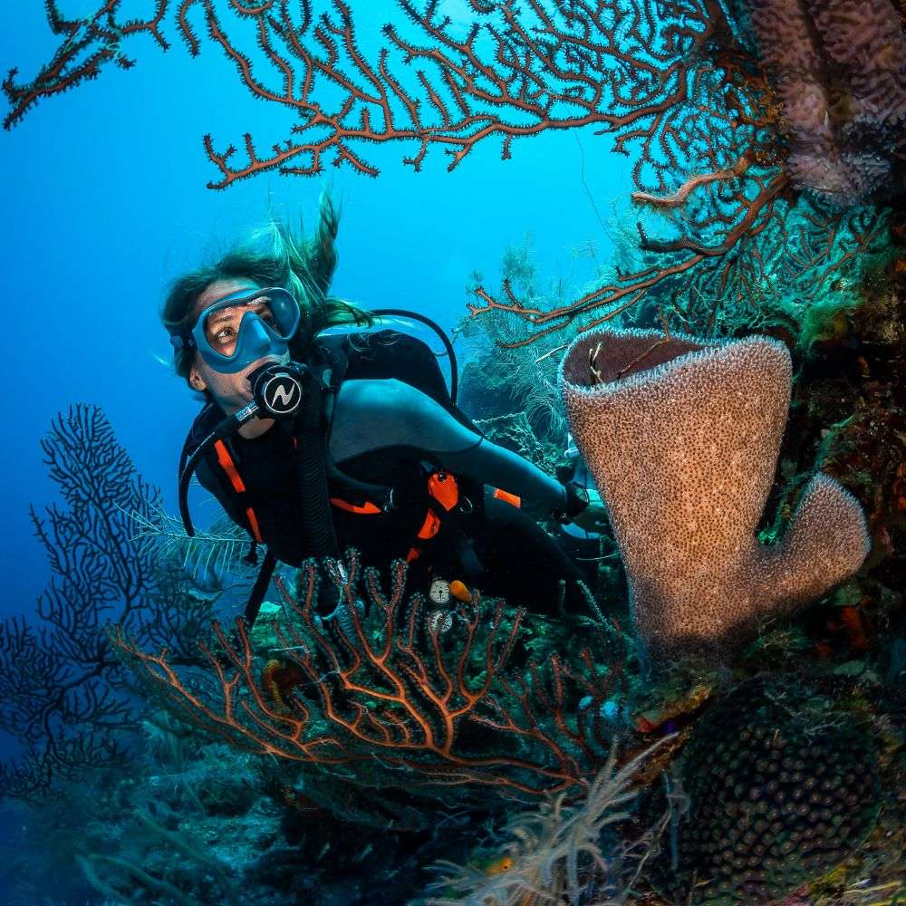 PRO HD COMPACT - Dive BCD - Image 5